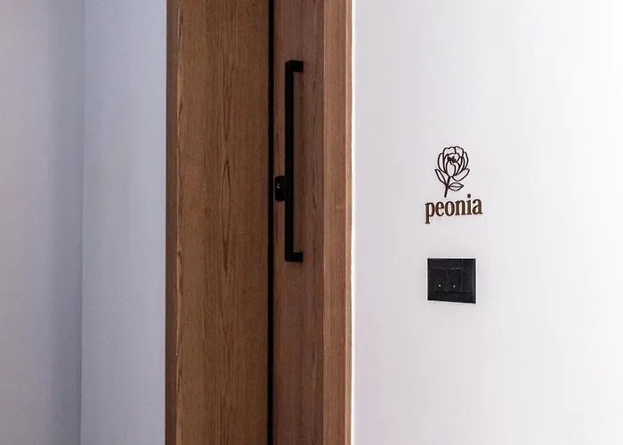 Διαμέρισμα Peonia Modern Two-level Near Old Town *